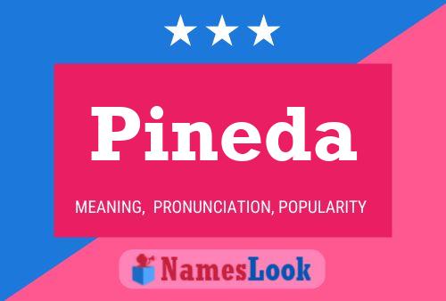 Pineda Name Poster