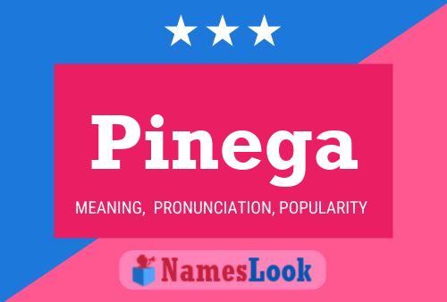 Pinega Name Poster