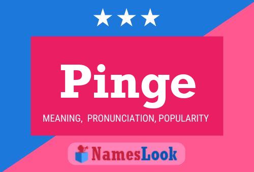 Pinge Name Poster