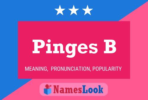 Pinges B Name Poster