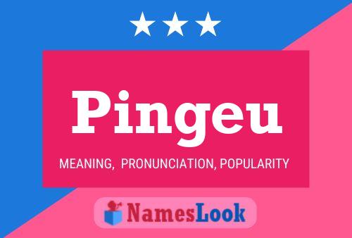 Pingeu Name Poster