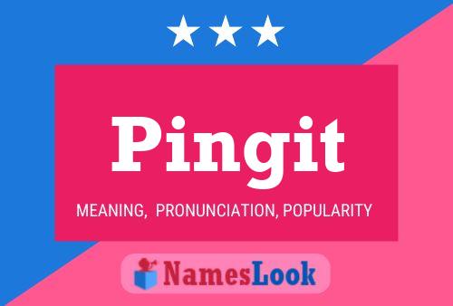 Pingit Name Poster