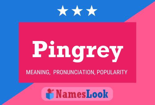 Pingrey Name Poster