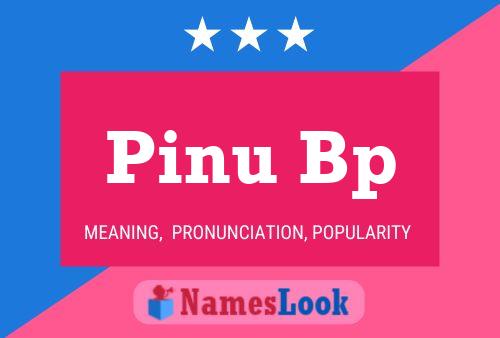 Pinu Bp Name Poster