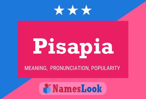 Pisapia Name Poster