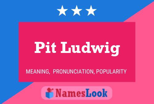 Pit Ludwig Name Poster