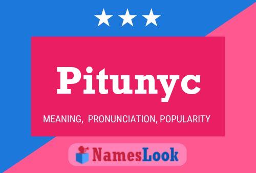 Pitunyc Name Poster