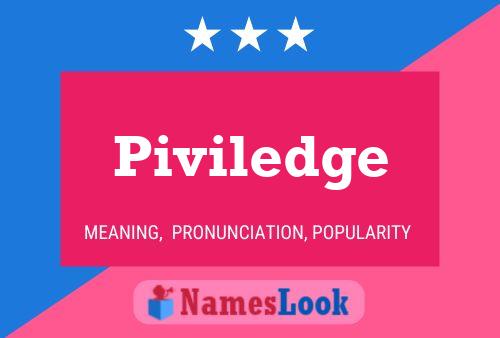 Piviledge Name Poster