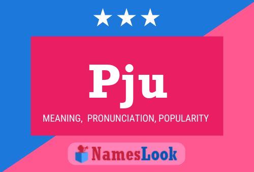 Pju Name Poster