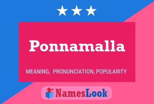 Ponnamalla Name Poster