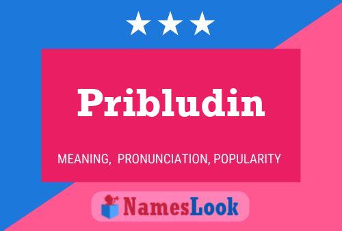 Pribludin Name Poster