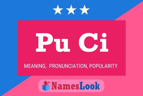 Pu Ci Name Poster