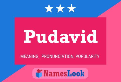 Pudavid Name Poster