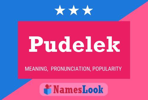 Pudelek Name Poster