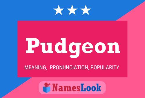 Pudgeon Name Poster