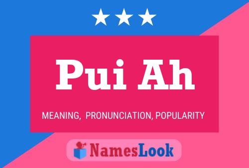 Pui Ah Name Poster