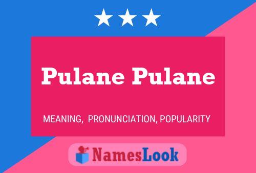 Pulane Pulane Name Poster