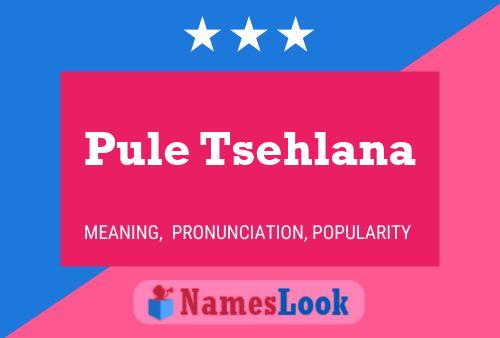 Pule Tsehlana Name Poster