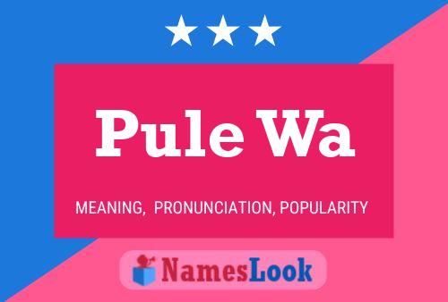 Pule Wa Name Poster