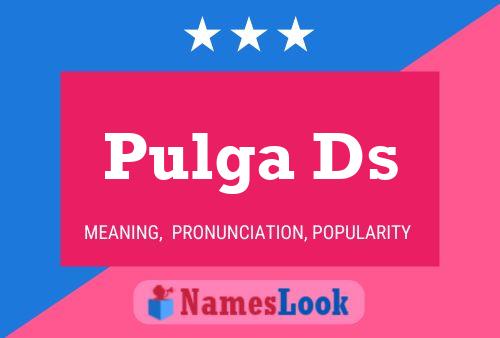 Pulga Ds Name Poster