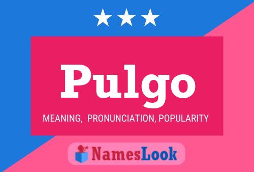 Pulgo Name Poster