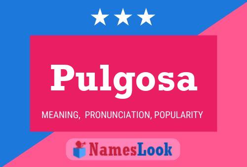 Pulgosa Name Poster