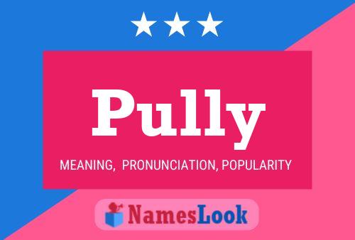 Pully Name Poster