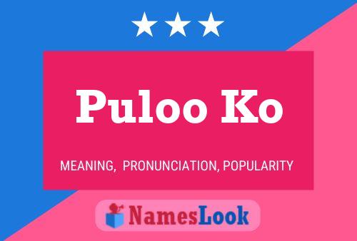 Puloo Ko Name Poster