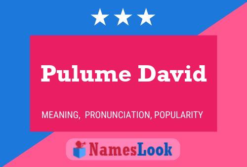 Pulume David Name Poster