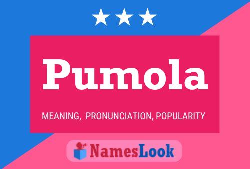 Pumola Name Poster