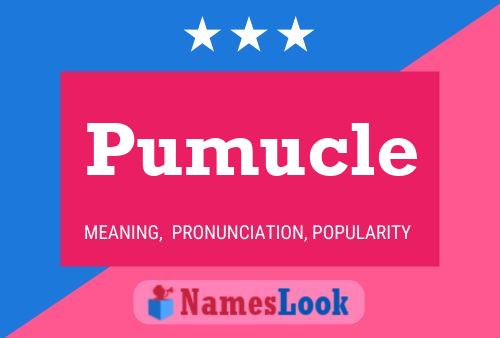 Pumucle Name Poster