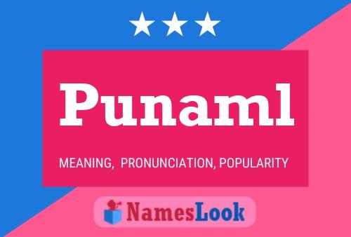 Punaml Name Poster