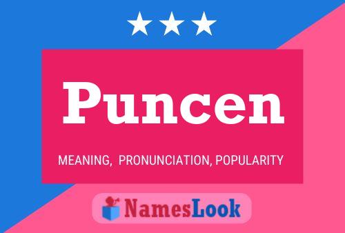 Puncen Name Poster