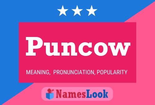 Puncow Name Poster