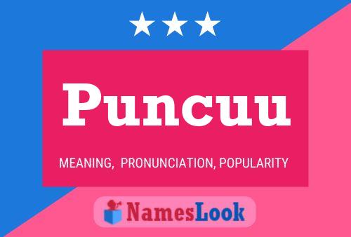 Puncuu Name Poster