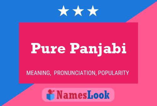 Pure Panjabi Name Poster