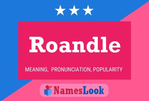 Roandle Name Poster