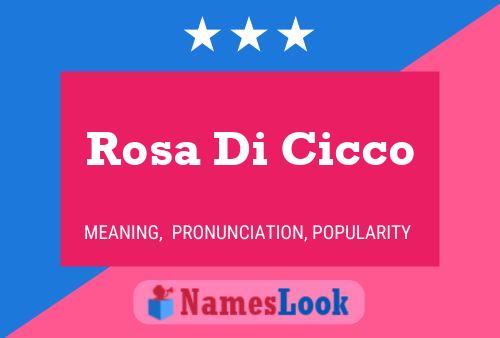 Rosa Di Cicco Name Poster