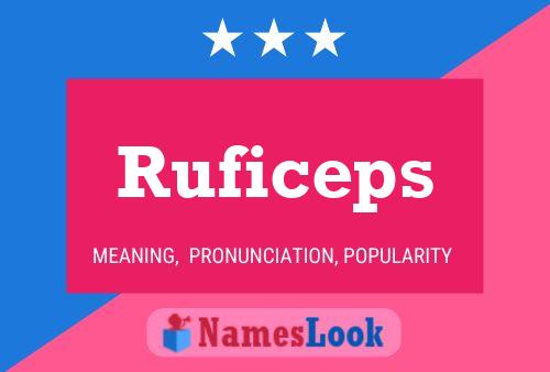 Ruficeps Name Poster