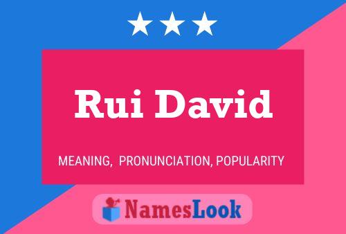 Rui David Name Poster