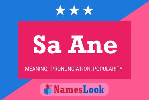 Sa Ane Name Poster