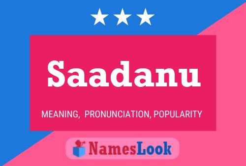 Saadanu Name Poster