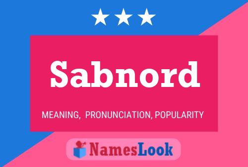 Sabnord Name Poster