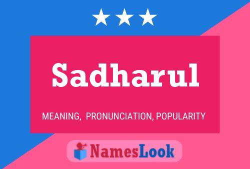 Sadharul Name Poster