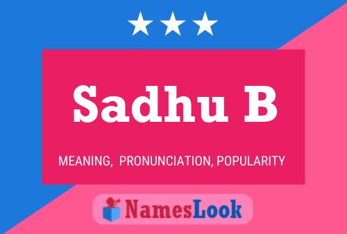 Sadhu B Name Poster