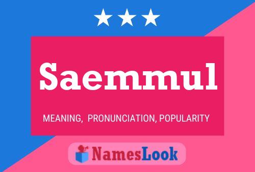 Saemmul Name Poster