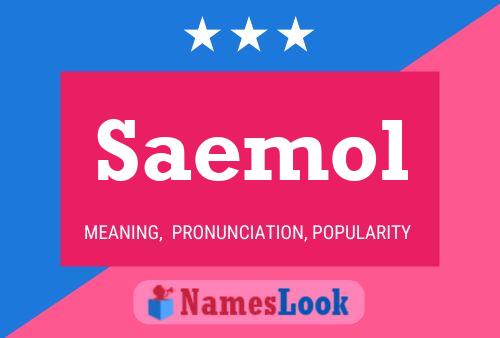 Saemol Name Poster