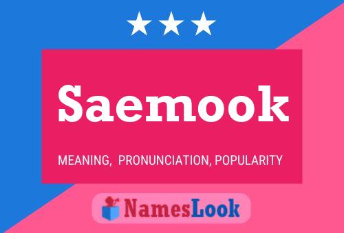 Saemook Name Poster