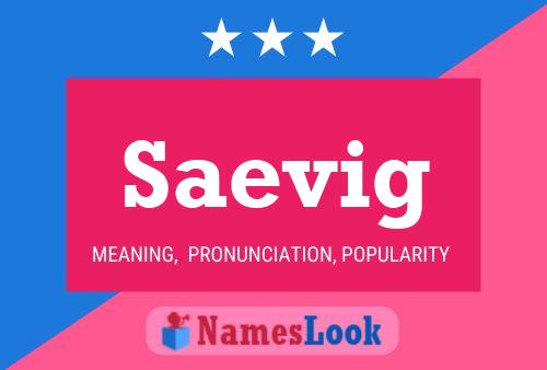 Saevig Name Poster