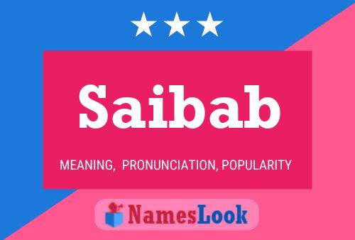 Saibab Name Poster